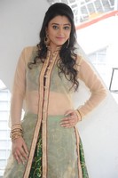 Ruchika Rajput Photos